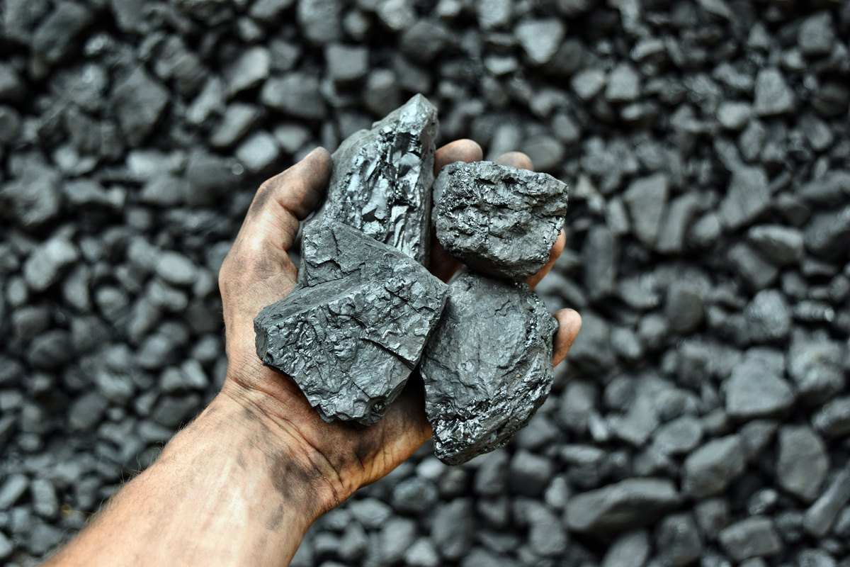 Hand holding chunks of black coal
